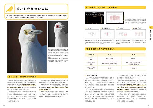 図解でわかる野鳥撮影入門  3