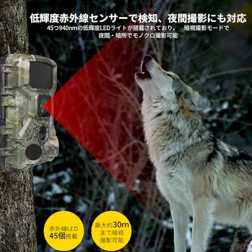 トレイルカメラ 4