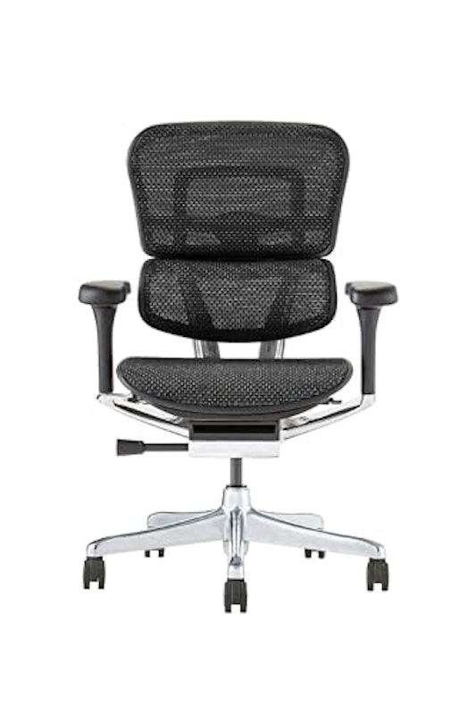 Ergohuman PRO2 Low Type 1