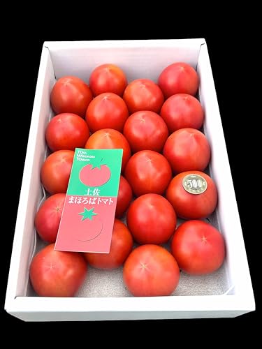 フルーツトマトのおすすめ人気ランキング【2026年3月】 | マイベスト