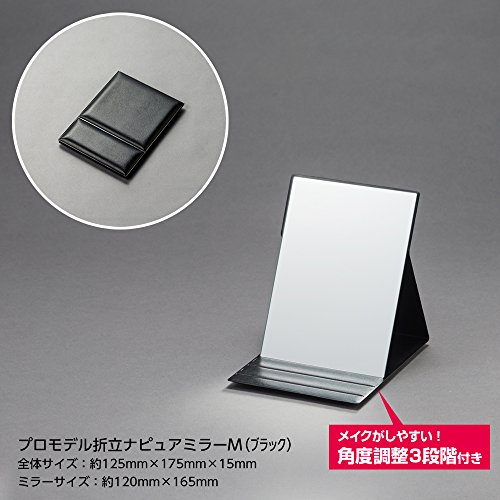 プロモデル折立ミラー 2