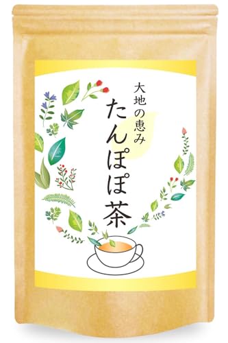 たんぽぽ茶 1
