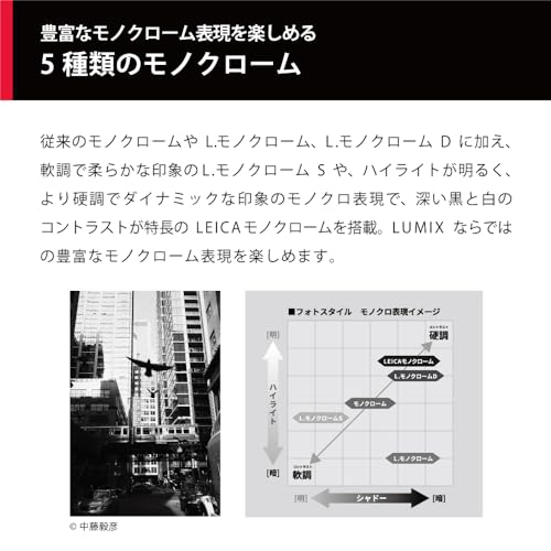 ミラーレス一眼カメラボディ 7