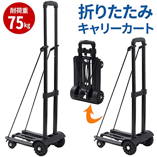 小型　キャリーカート 2