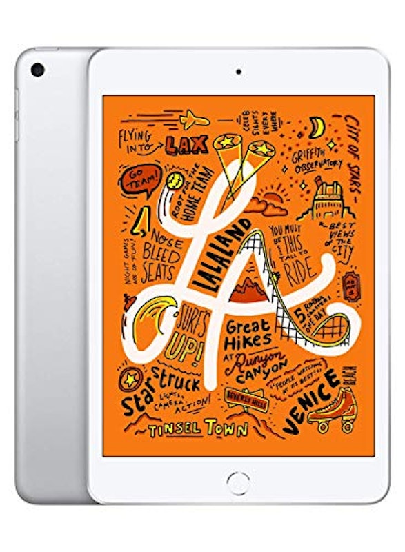 iPad mini 1