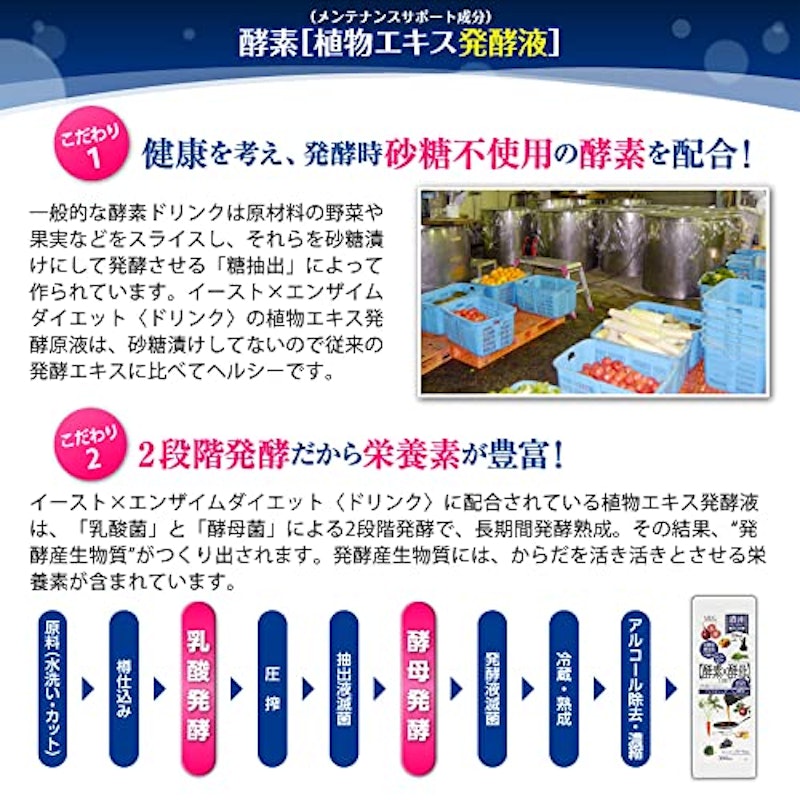 イースト×エンザイム ダイエット 3