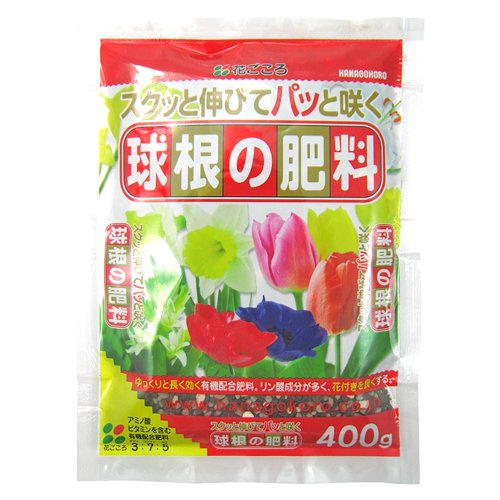 球根の肥料 1
