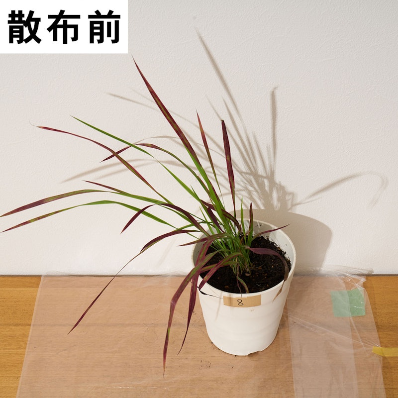 はやく効くお酢の除草剤 13