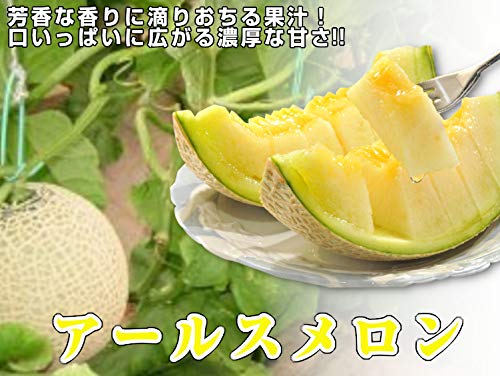 アールスメロン 2