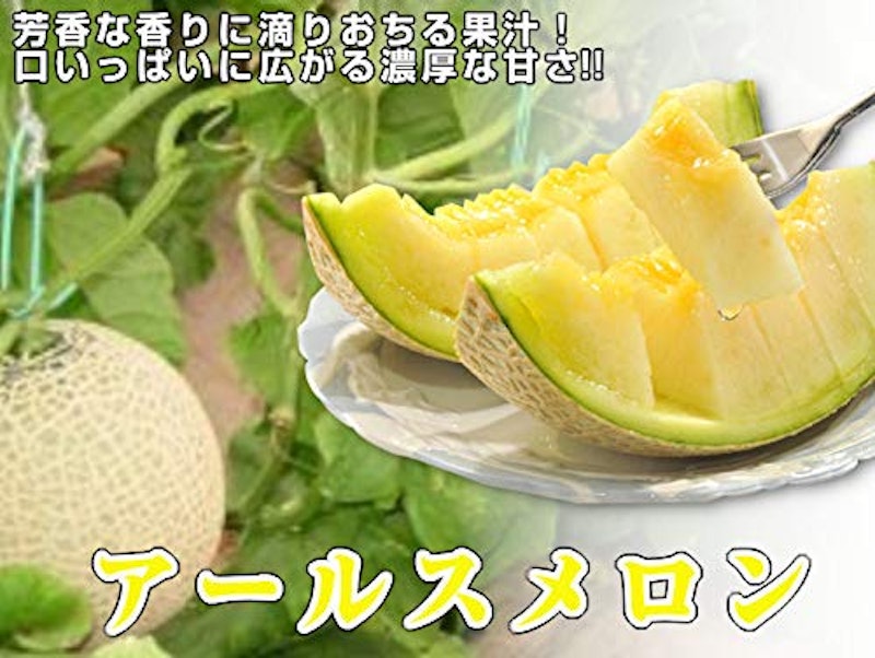 アールスメロン 2
