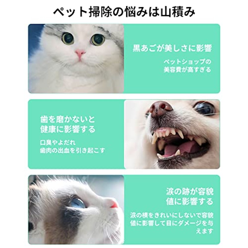 ペット用歯ブラシ 3