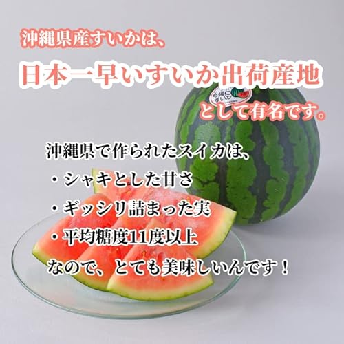 沖縄県産すいか 4