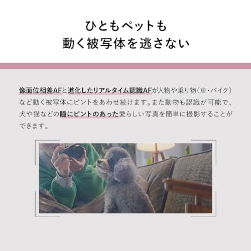 フルサイズ ミラーレス一眼カメラ 10