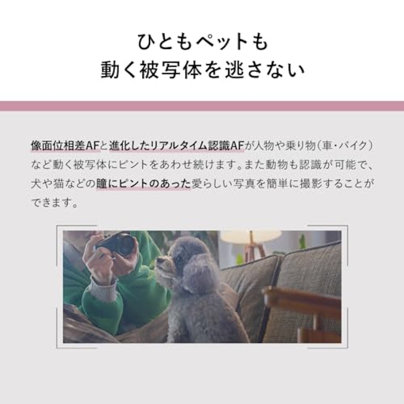 フルサイズ ミラーレス一眼カメラ 10