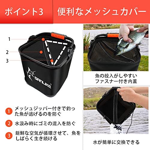 バッカン 6
