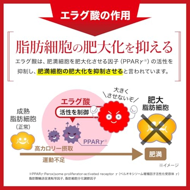 エラグ酸 脂肪減少サポート 3