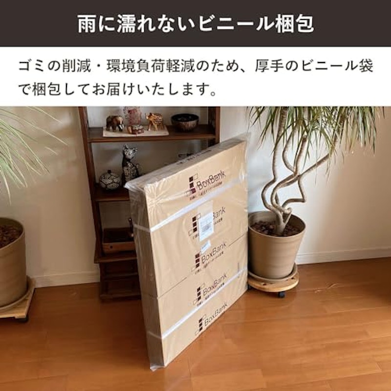 ダンボール 6
