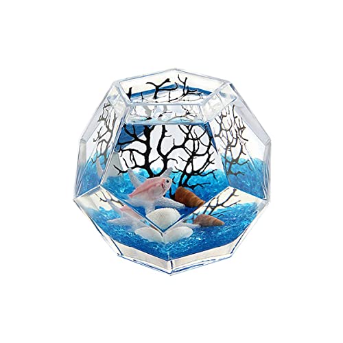 金魚鉢 1