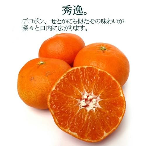 甘平 5