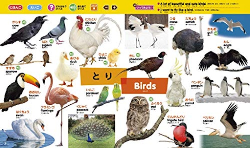 タッチペンで音が聞ける!はじめてずかん1000 英語つき 3