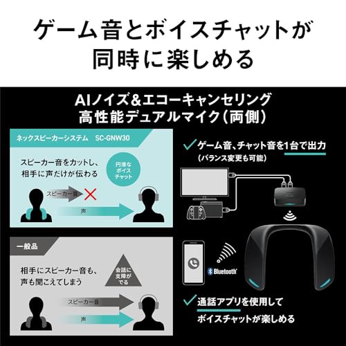 ネックスピーカーシステム 6