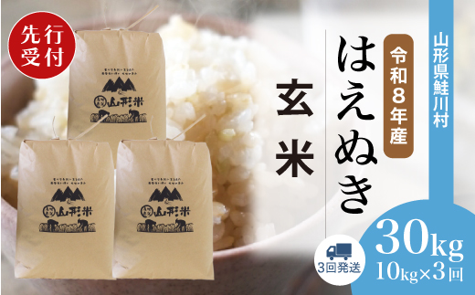 はえぬき 玄米 定期便 1