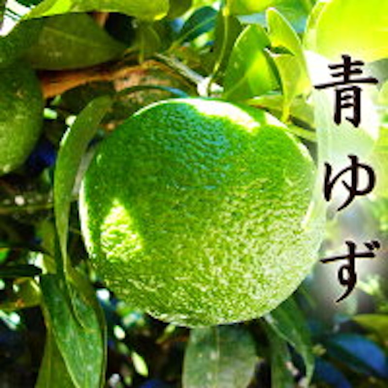 青柚子 1