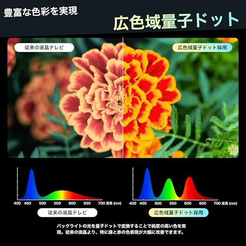 量子ドット 4K液晶テレビ 4