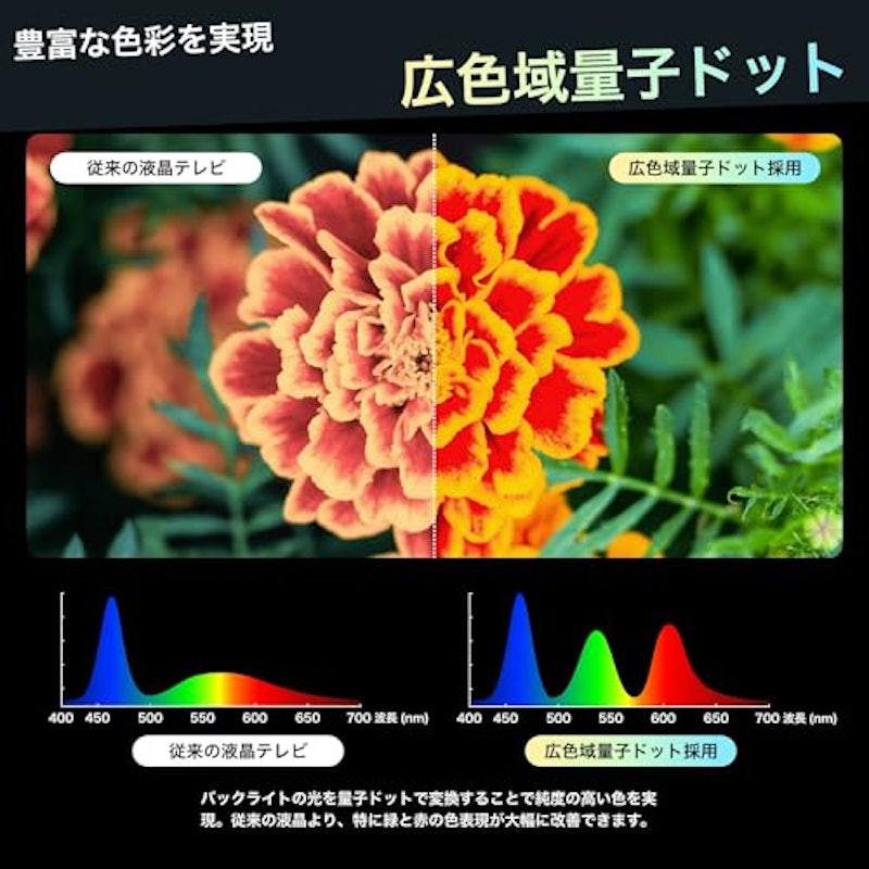 量子ドット 4K液晶テレビ 4