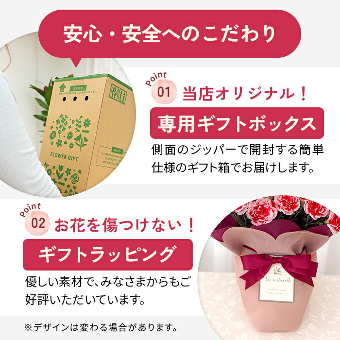 カーネーション 8