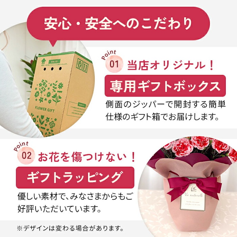 カーネーション 8