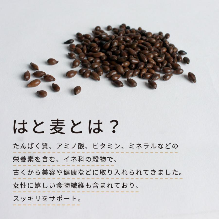 はと麦茶 4