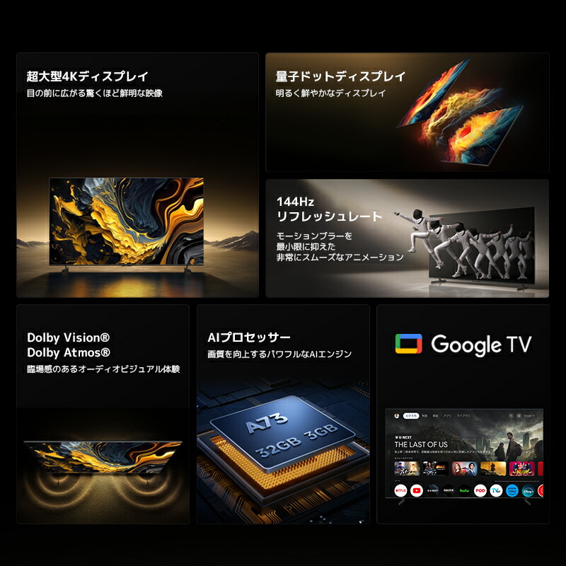 TV Max 100  2