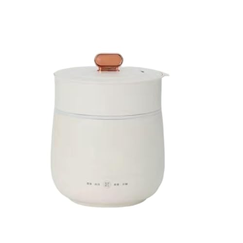 多機能電気炊飯器 1