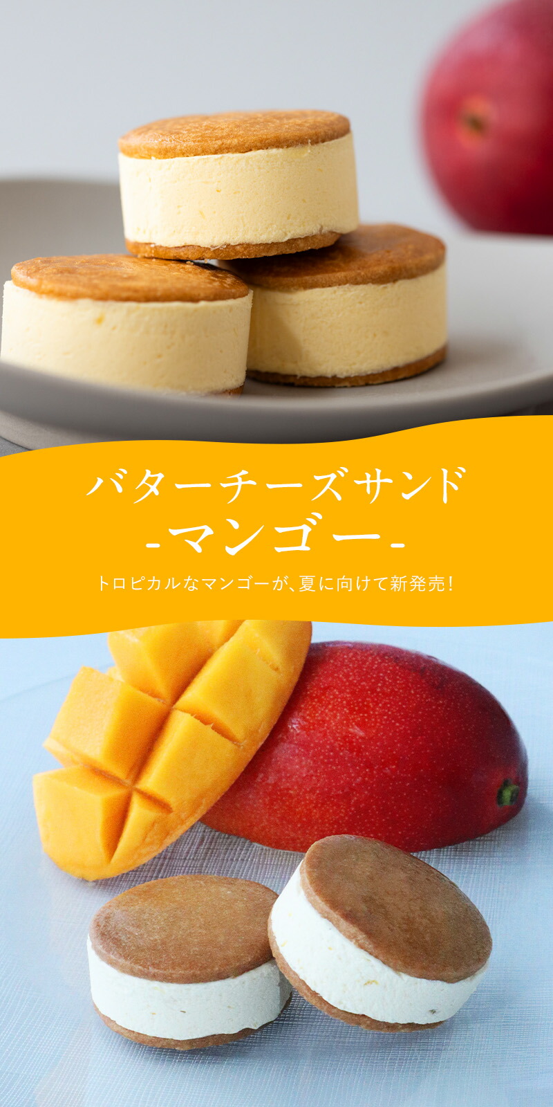 北のごちそう バターチーズサンド 2
