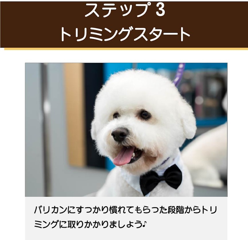 ペットトリマーβ 11