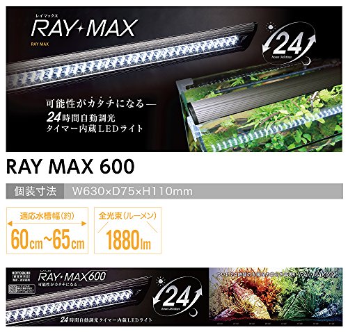 RAY MAX 2
