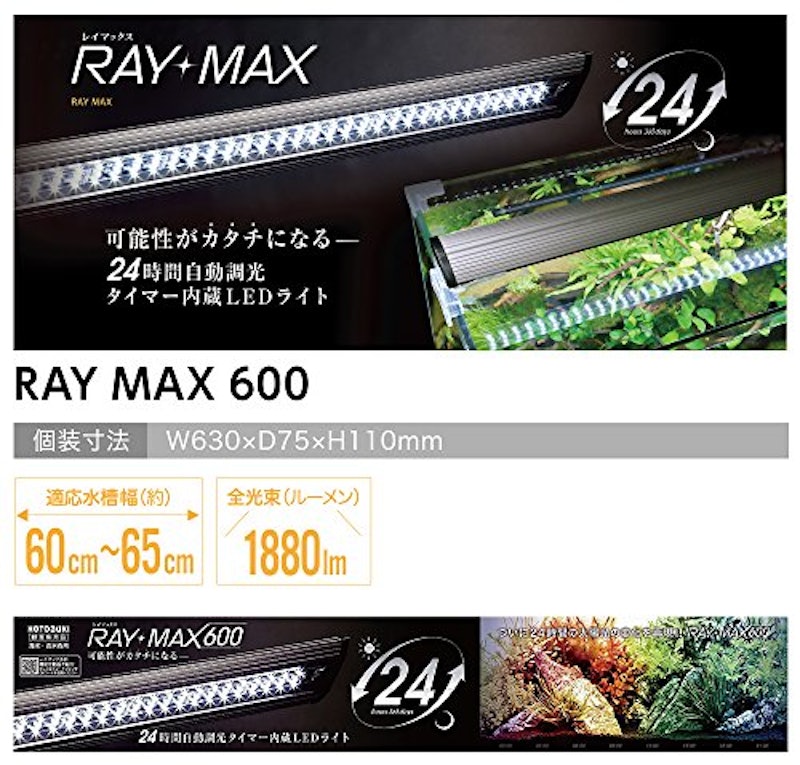 RAY MAX 2