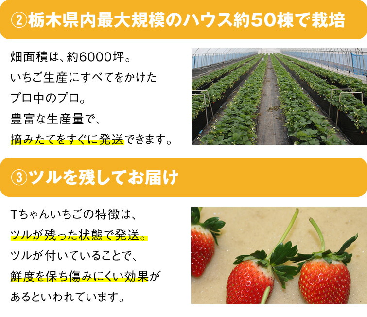 とちあいか 13