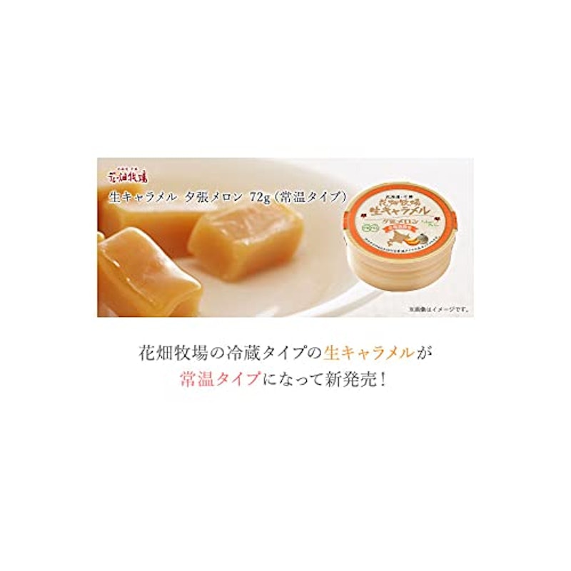 【常温タイプ】生キャラメル 夕張メロン 3