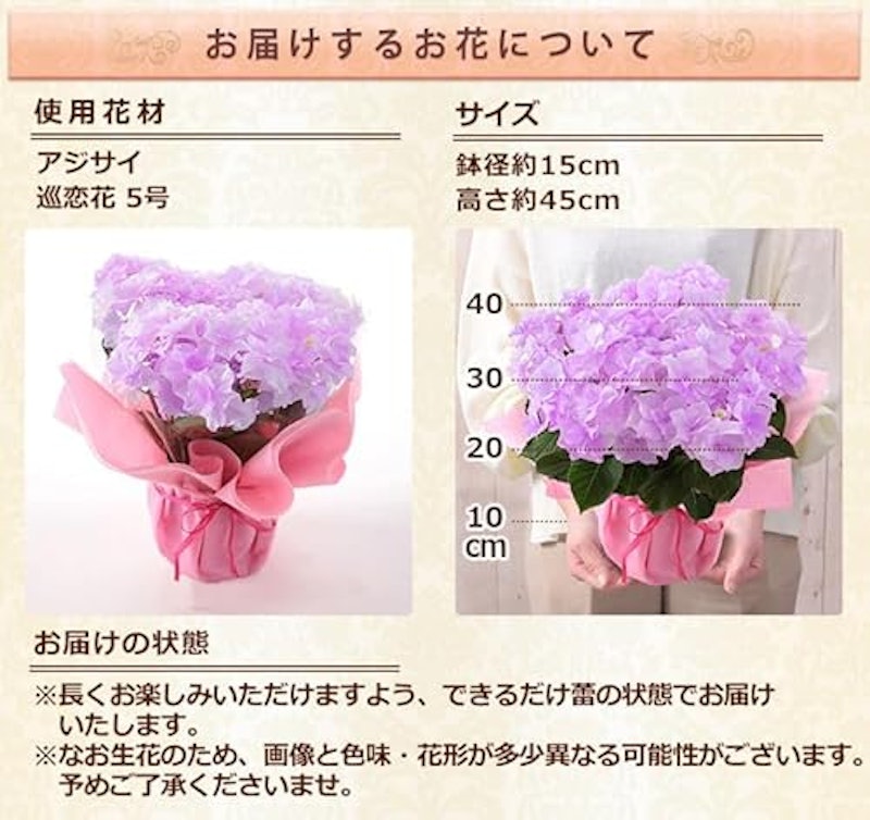 アジサイ 巡恋花エレガンス 3