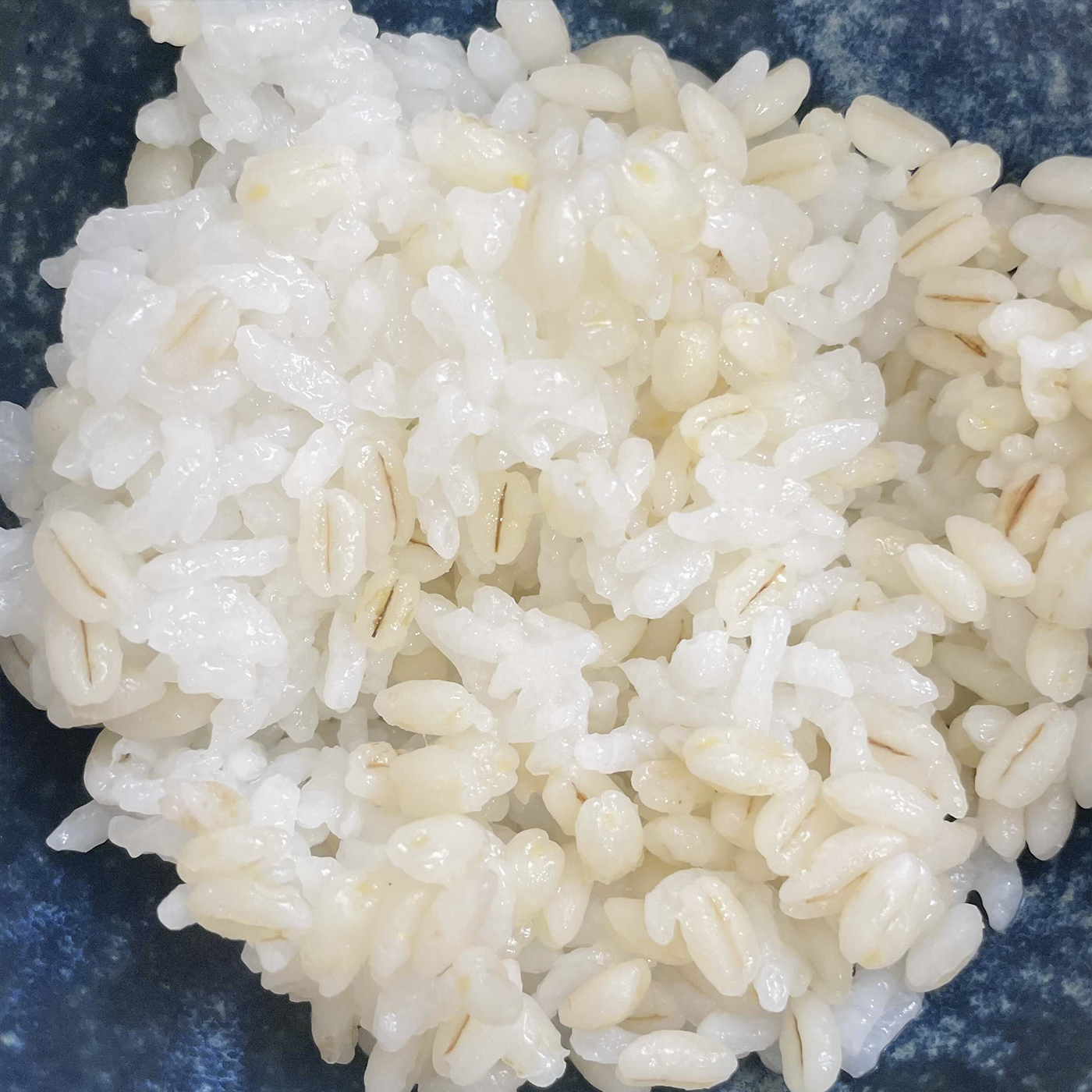 国産 もち麦 5
