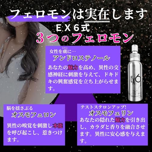 EX6エグゼックス 3