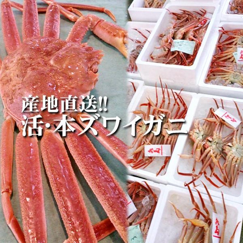 活 本ズワイガニ 3