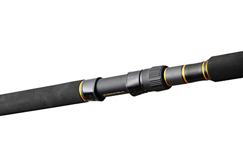 オフショアキャスティングロッドのおすすめ人気ランキング【2025