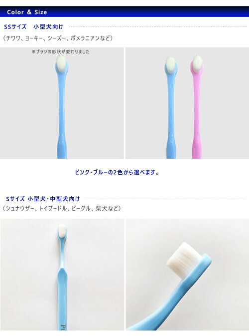 天使の羽ブラシ 5