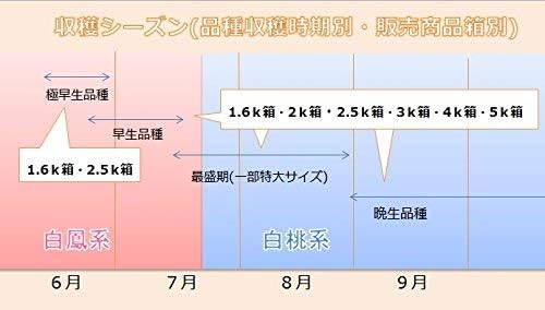 旬の桃 3