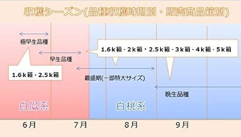 旬の桃 3