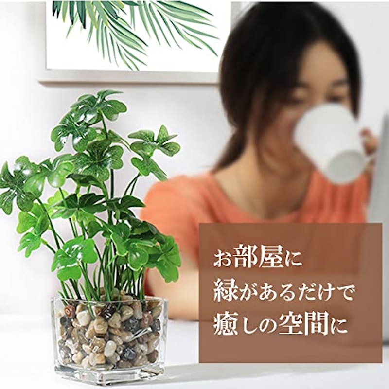 フェイクグリーン 2