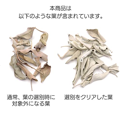 ホワイトセージ クラッシュ 3